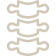 spine